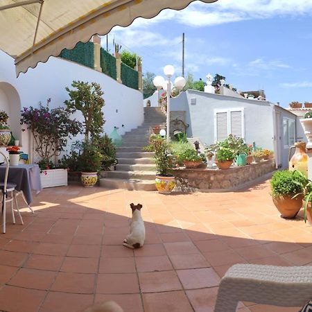 B&B Villa Cristina Анакапри Экстерьер фото